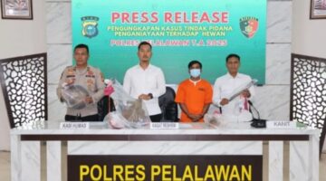Polisi Tangkap Pria Diduga Jual Daging Anjing di Pelalawan, Terancam Pasal Penganiayaan Hewan